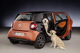 Auch für den Transport von zwei Hunden ist der smart mit den Readyspace-Sitzen bestens gerüstet.  (Foto: Daimler AG)