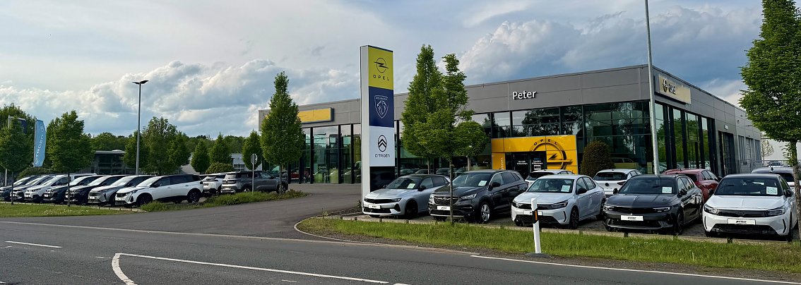 Au&szlig;enansicht eines Autohauses mit blauem Peugeot-Schriftzug in Nordhausen, mehrere wei&szlig;e Transporter und ein blauer SUV davor geparkt.