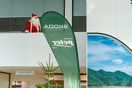 Ein weihnachtliches Abenteuer für die „Frösche“ des DRK-Kindergartens Sonnenschein (Foto: )