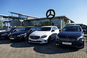 Mercedes-Benz Autohaus mit moderner Glasfassade, davor mehrere schwarze und ein wei&szlig;er Vorf&uuml;hrwagen, zentral ein Baum kunstvoll in Form des Mercedes-Stern-Logos gestutzt