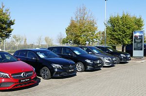 Reihe von Mercedes-Benz Gebrauchtwagen mit �Junge Sterne�-Schildern auf dem Autohaus-Gel&auml;nde, im Vordergrund ein rotes Modell, dahinter schwarze und graue Fahrzeuge, umrahmt von gr&uuml;nen B&auml;umen und blauem Himmel.