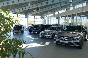 Innenansicht des hellen Mercedes-Benz Autohauses in Bernburg mit gro&szlig;en Glasfronten, mehreren ausgestellten Neuwagen und Gebrauchtwagen (�Junge Sterne�), moderne Architektur, Pflanzen im Vordergrund.