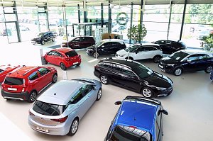 Innenansicht des modernen Opel-Autohauses Peter in Nordhausen. Zu sehen ist eine große, helle Ausstellungshalle mit vielen Neuwagen in verschiedenen Farben und Modellen, darunter rote, schwarze, weiße und blaue Fahrzeuge. Die Halle hat eine Glasfassade mit viel Tageslicht, einige grüne Pflanzen und einen Empfangsbereich im Hintergrund.