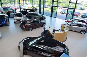 Großzügiger, heller Showroom des Opel-Autohauses mit großen Glasfronten. Mehrere Opel-Modelle in unterschiedlichen Farben sind ausgestellt. In der Mitte befindet sich ein moderner Empfangstresen mit Stühlen und Blumen. Draußen sind weitere Fahrzeuge und grüne Bäume sichtbar.