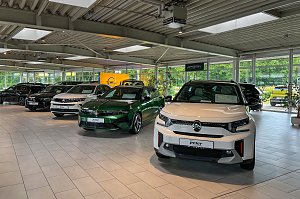 Der moderne, helle Showroom des Autohauses Peter in Halle Neustadt/ G&ouml;ttinger Bogen mit einer Reihe ausgestellten Fahrzeugen auf hellem Fliesenboden.