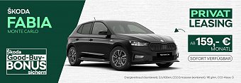 �koda FABIA TOUR (Skoda Auto Deutschland GmbH)