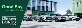 Der perfekte Zeitpunkt f&uuml;r Ihren Wechsel zu �koda (Autohaus Peter)