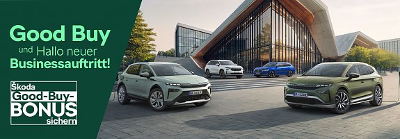 Good Buy und Hallo neuer Businessauftritt! (Skoda Auto Deutschland GmbH)