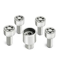 Sicherheitsschraubensatz