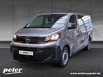 Opel Vivaro Flexkabine L3 +Allwetter+R&uuml;ckfahrkamera+