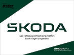 Skoda KAROQ TDI DSG STYLE **AHK*PANORAMADACH*LED*NAV** Skoda KAROQ TDI DSG STYLE **AHK*PANORAMADACH*LED*NAV**