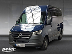 Mercedes-Benz Sprinter 315 CDI Tourer  ILS-LED/Standheizung
