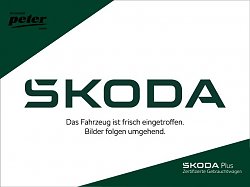 Skoda KAMIQ TSI AMBITION   LED SITZH. SPURHALTE DAB/   