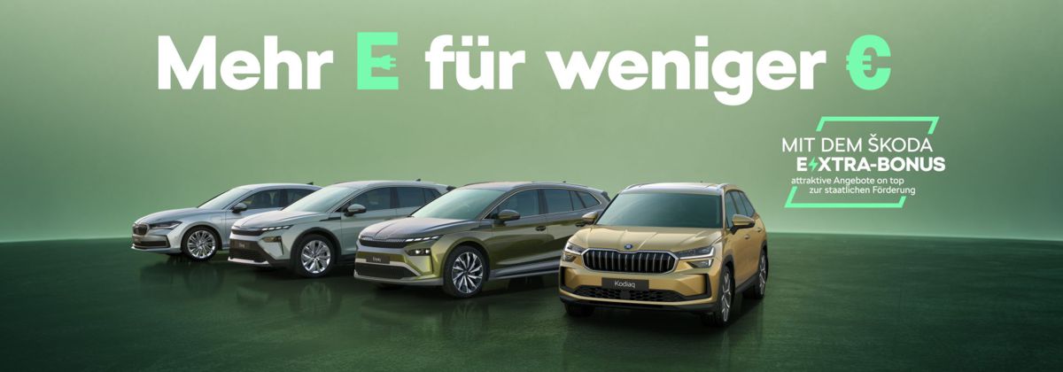 E-F�rderung